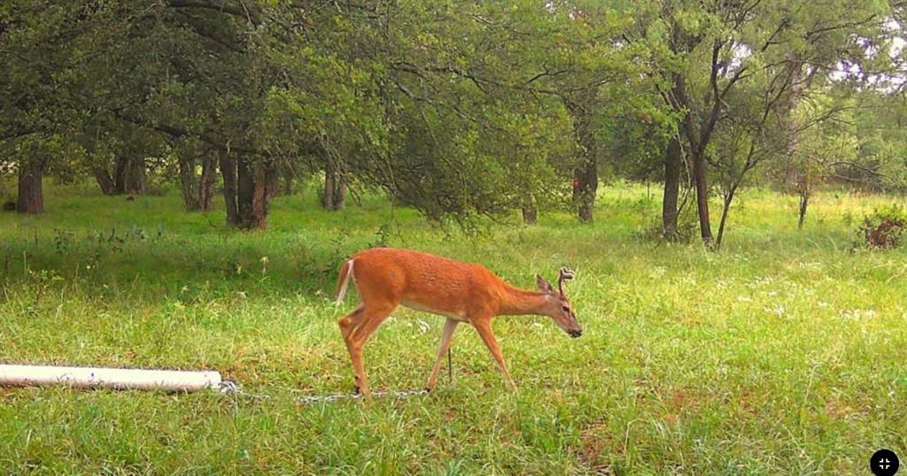 Tbd Coalville Road Gordon, TX 76453 - Photo 27 of 27 Gallery Image 27