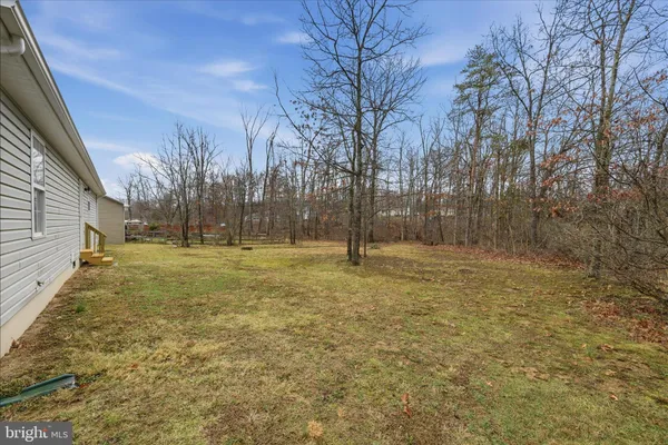 a view of a yard with trees