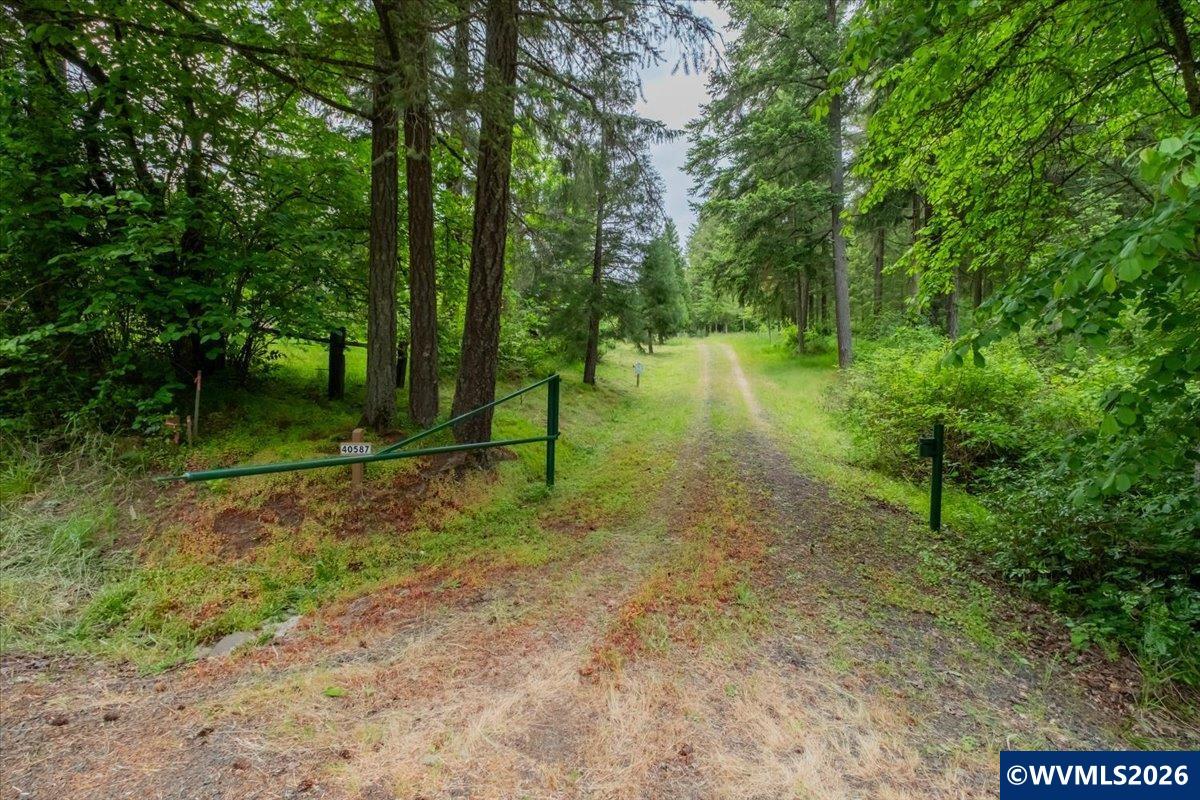 0057485 Next To 40587 Baptist Church Road Lebanon, OR 97355 - Photo 2 of 38