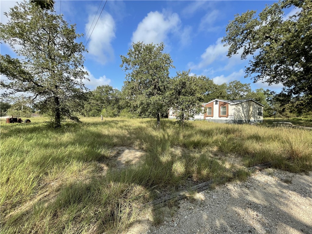 980 Plant Road Luling, TX 78648 - Photo 1 of 1 Gallery Image 1