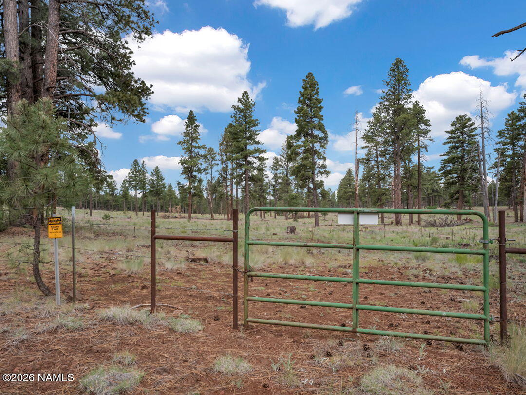 13050 Fallow Deer Road Parks, AZ 86018 - Photo 21 of 44 33-web-or-mls-Media.TimberCreekImagery-3