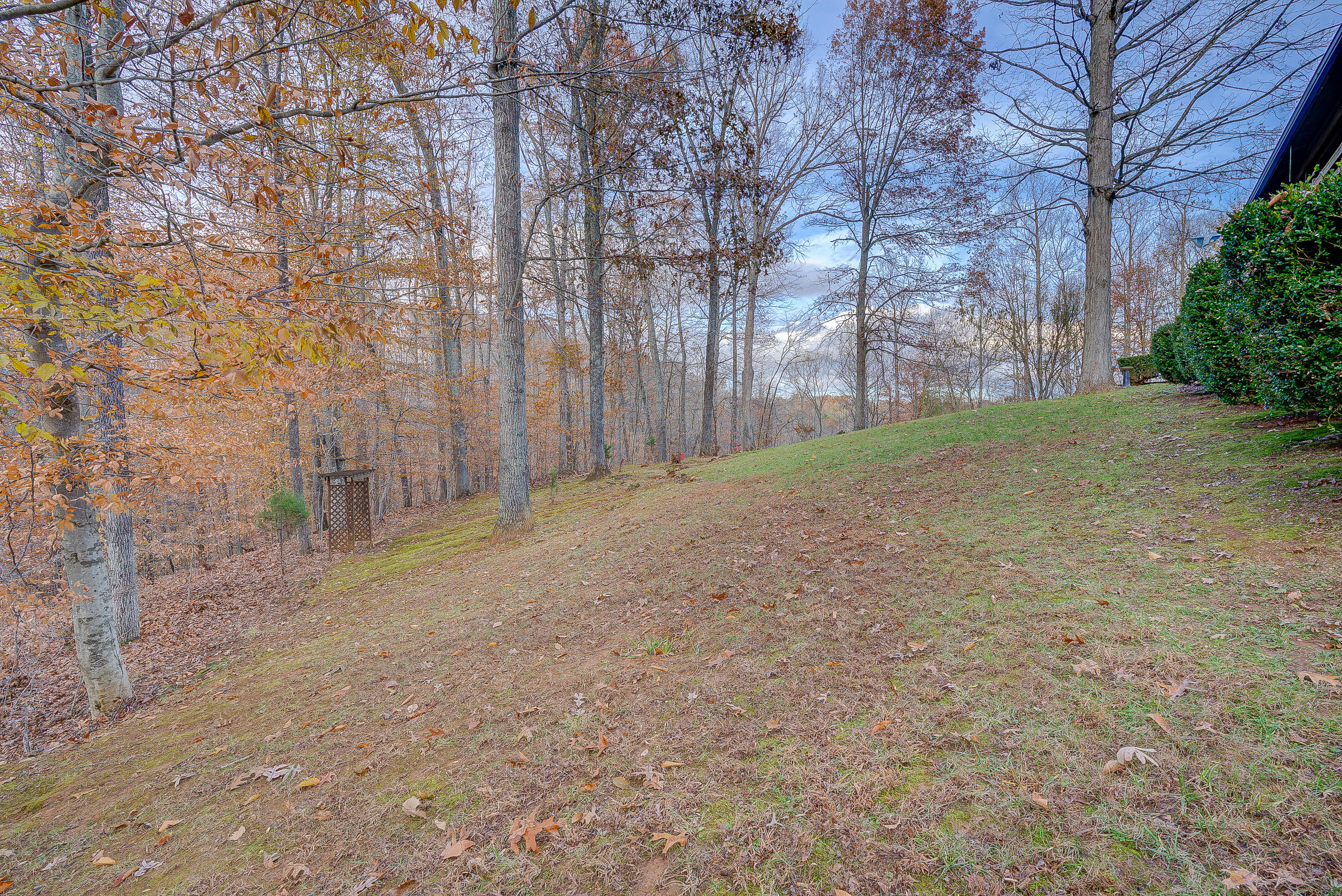 1037 Buck Mountain Road Goodview, VA 24095 - Photo 30 of 31 a view of a yard with trees