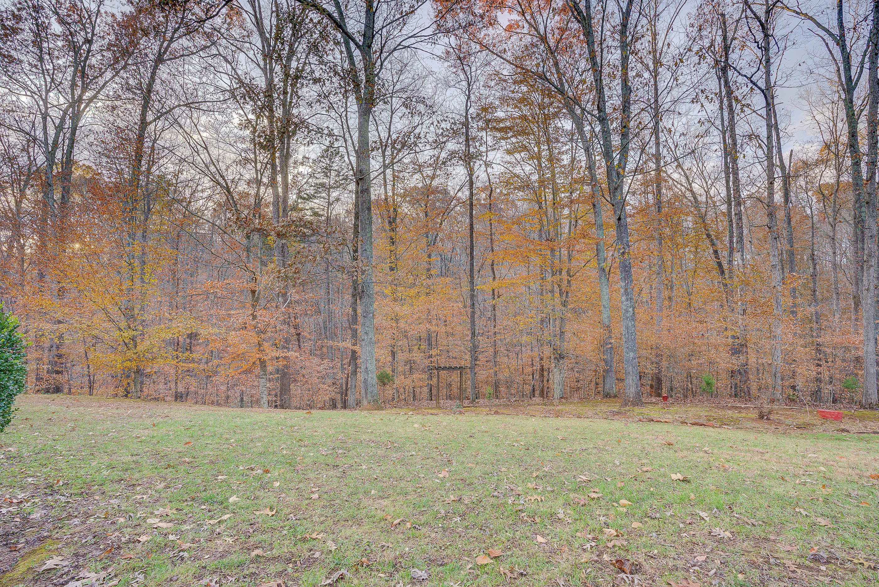 1037 Buck Mountain Road Goodview, VA 24095 - Photo 31 of 31 a view of outdoor space with deck and trees
