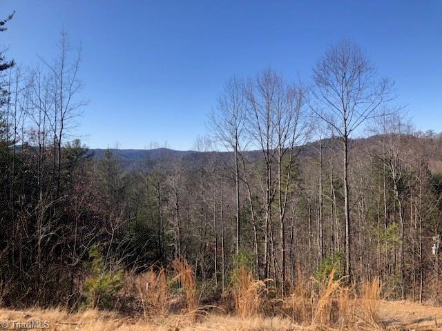 169 Lonesome Pine Road Purlear, NC 28665 - Photo 17 of 17 Gallery Image 17