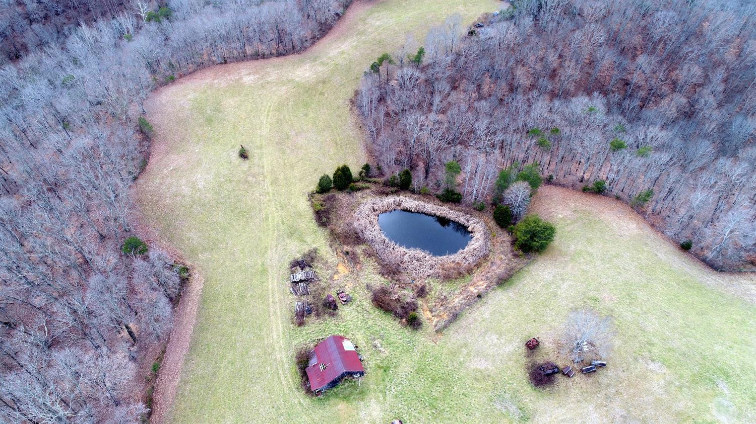 146 Opossum Run Road Irvine, KY 40336 - Photo 3 of 64 Perfect blend of timber and pastures!