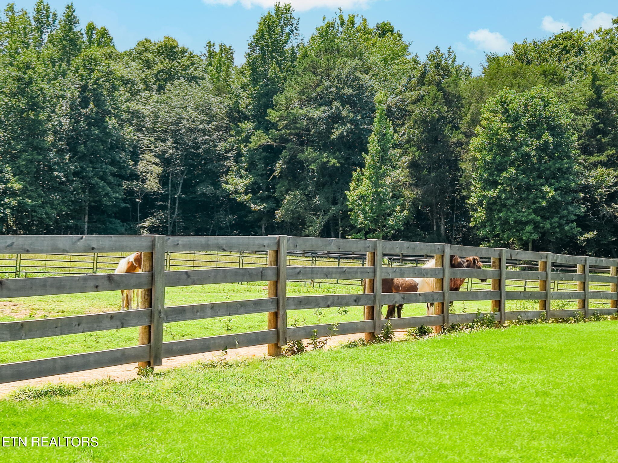 2000 Lawnville Road Kingston, TN 37763 - Photo 21 of 23