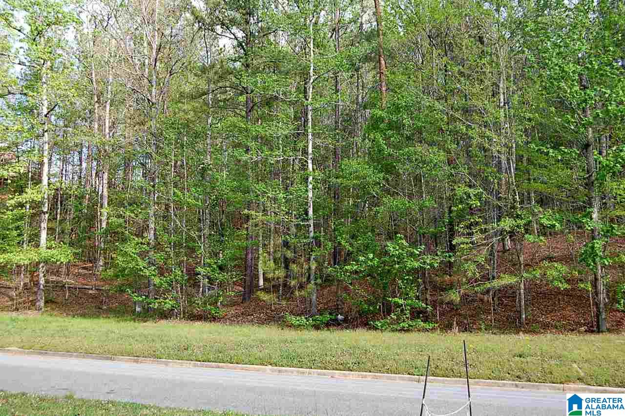 7430 Ridgecrest Court Road, Unit 410 Birmingham, AL 35242 - Photo 3 of 34