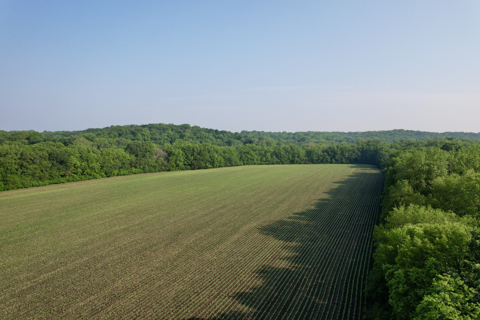 4141 East 2603rd Road Sheridan, IL 60551 - Photo 20 of 48 a view of a lake with a city