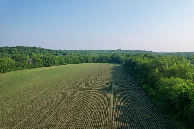 a view of a lake with a yard