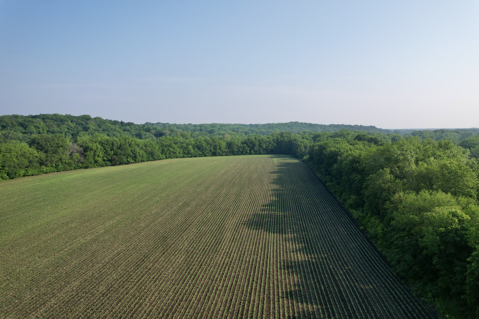 4141 East 2603rd Road Sheridan, IL 60551 - Photo 21 of 48 a view of a yard