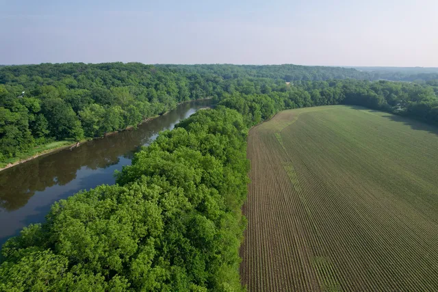 a view of a lush green forest with a lake view