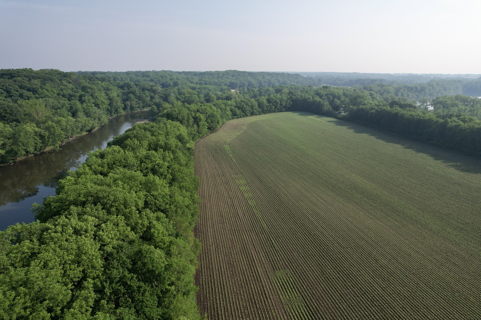 4141 East 2603rd Road Sheridan, IL 60551 - Photo 23 of 48 a view of a lush green forest with a lake view