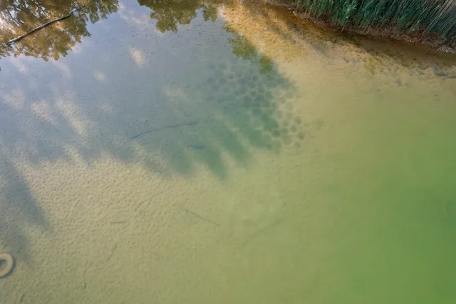 an aerial view of residential house and green space