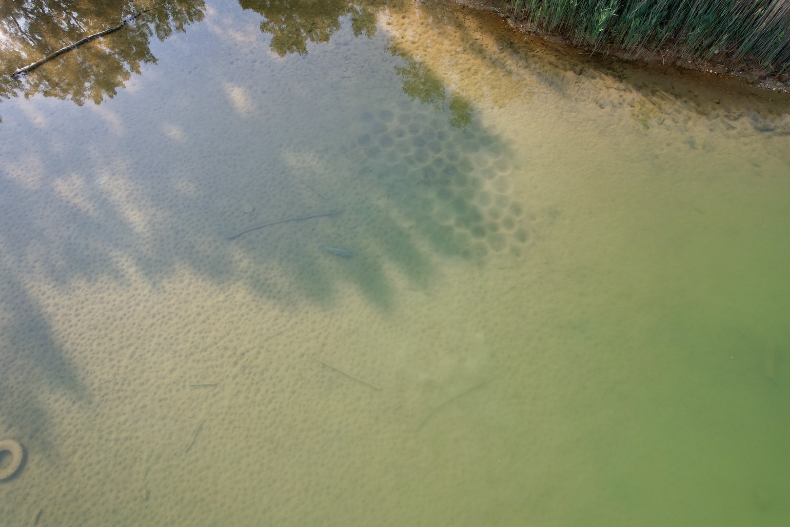 4141 East 2603rd Road Sheridan, IL 60551 - Photo 28 of 48