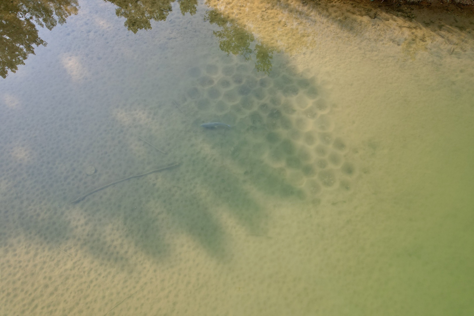 4141 East 2603rd Road Sheridan, IL 60551 - Photo 29 of 48 a bathroom with a shower