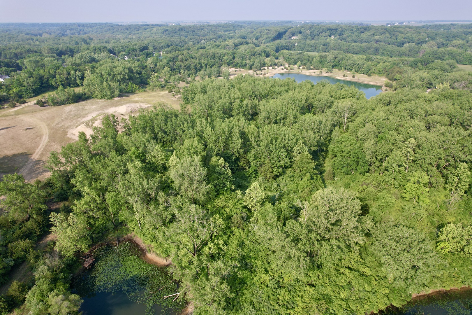 4141 East 2603rd Road Sheridan, IL 60551 - Photo 32 of 48 a view of a lush green forest with trees and houses