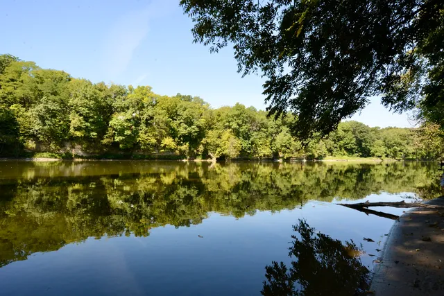 a view of a grassy field with trees