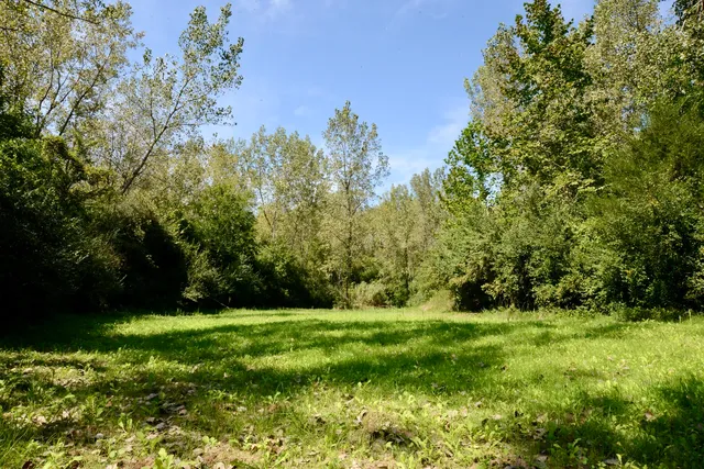 a view of a field with an ocean