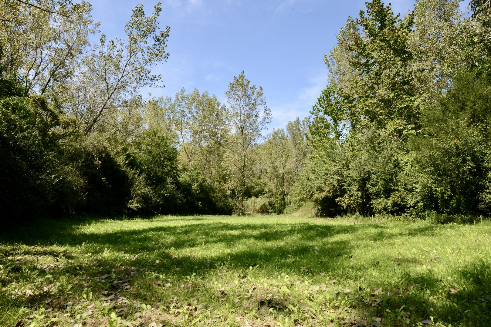 4141 East 2603rd Road Sheridan, IL 60551 - Photo 41 of 48 a view of a grassy field with trees