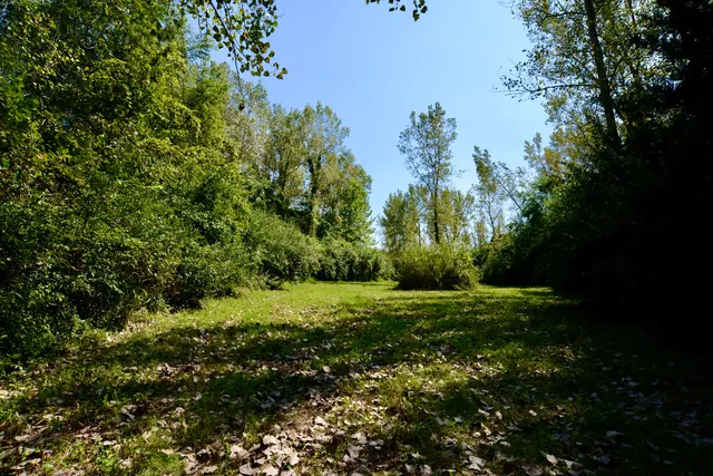 a view of lake with mountain in background