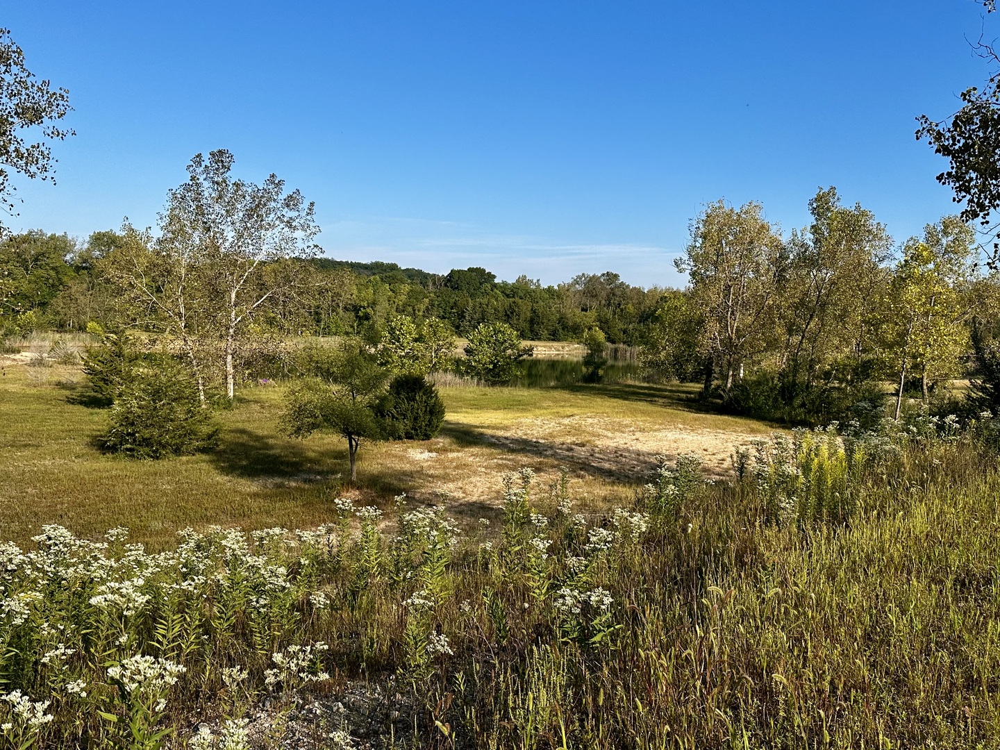 4141 East 2603rd Road Sheridan, IL 60551 - Photo 44 of 48 a view of a field with an ocean