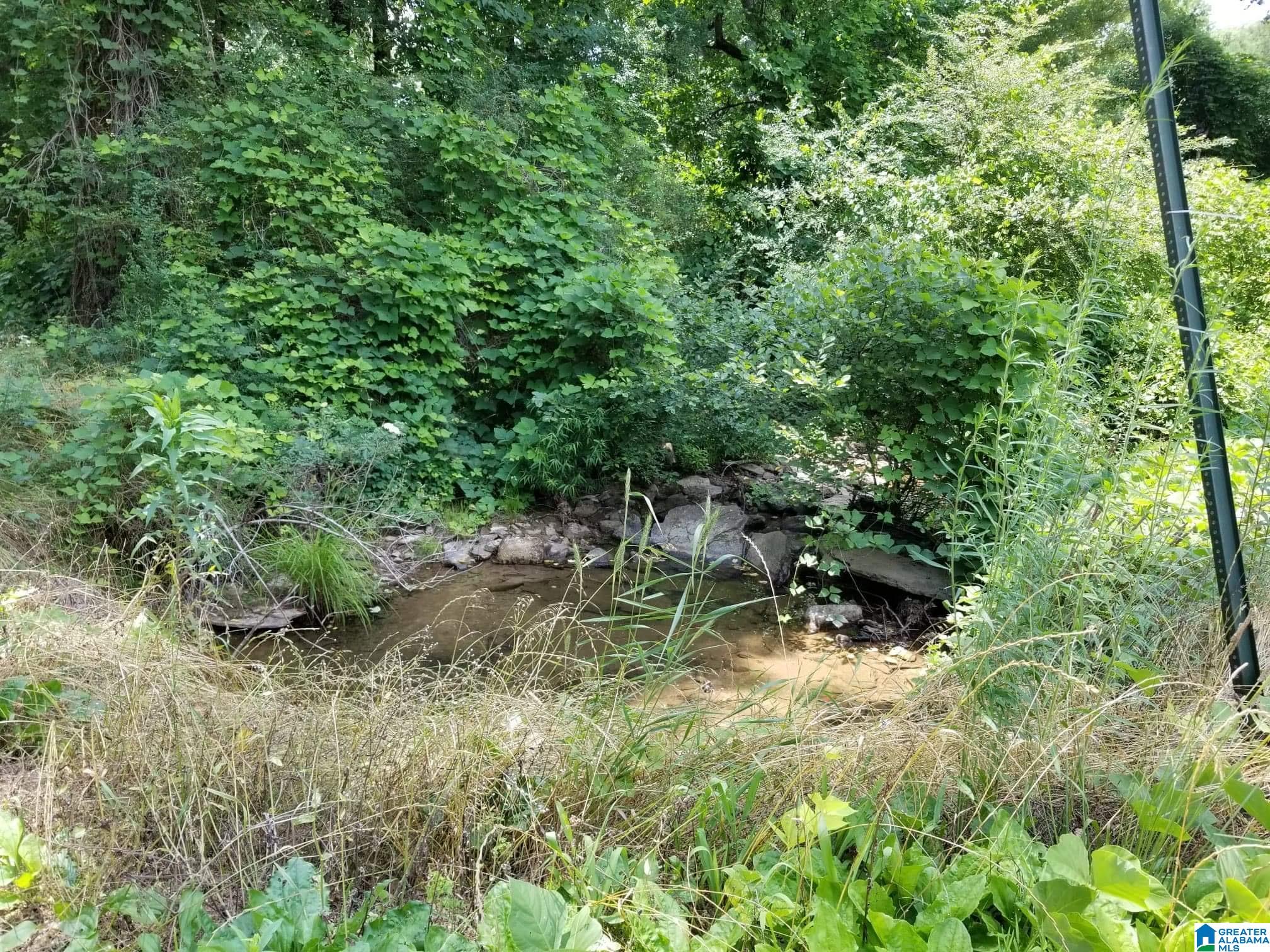 Honeycutt Road Remlap, AL 35133 - Photo 20 of 24