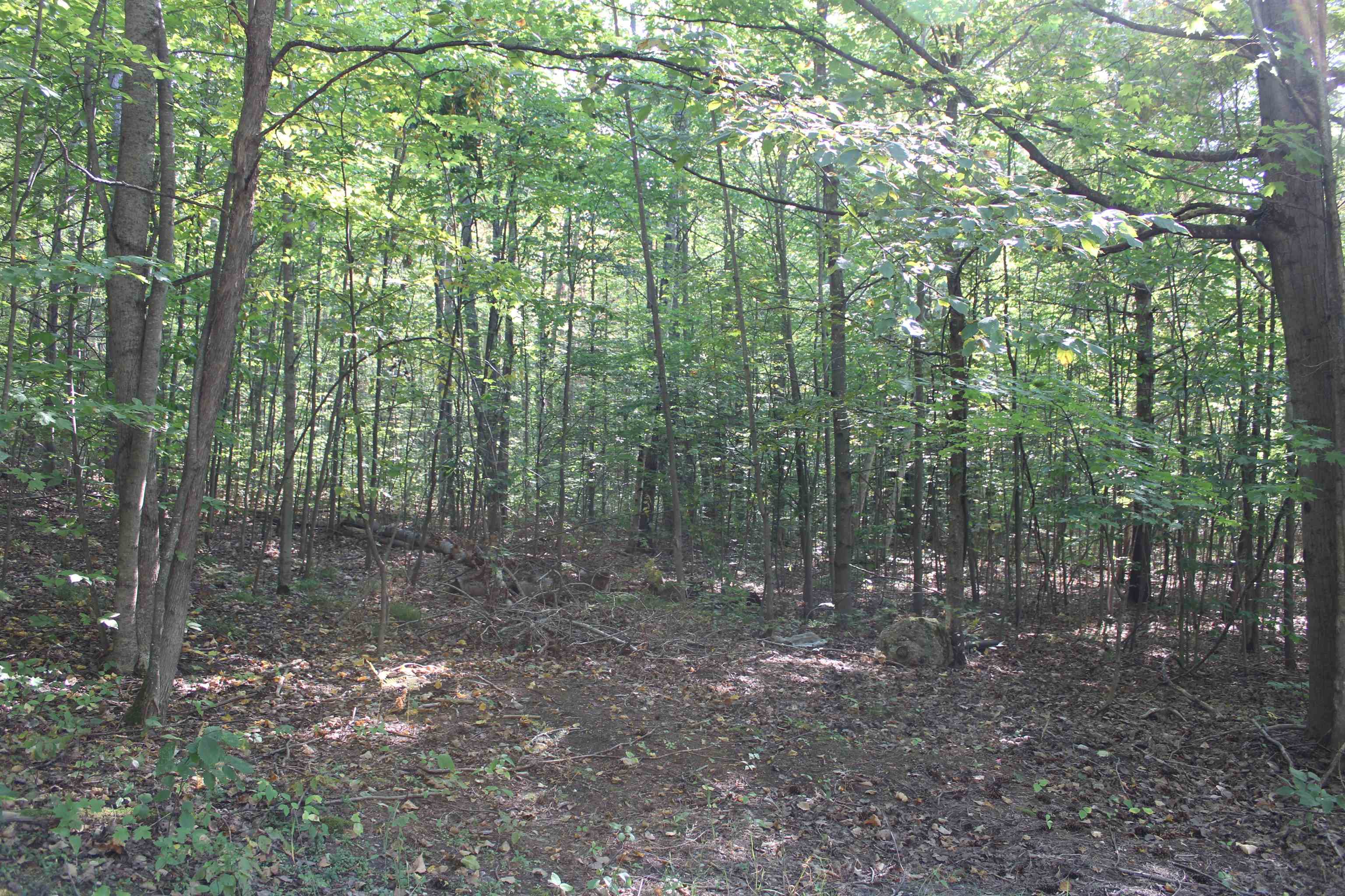 Sunburry Road Kalkaska, MI 49646 - Photo 2 of 19 Gallery Image 2