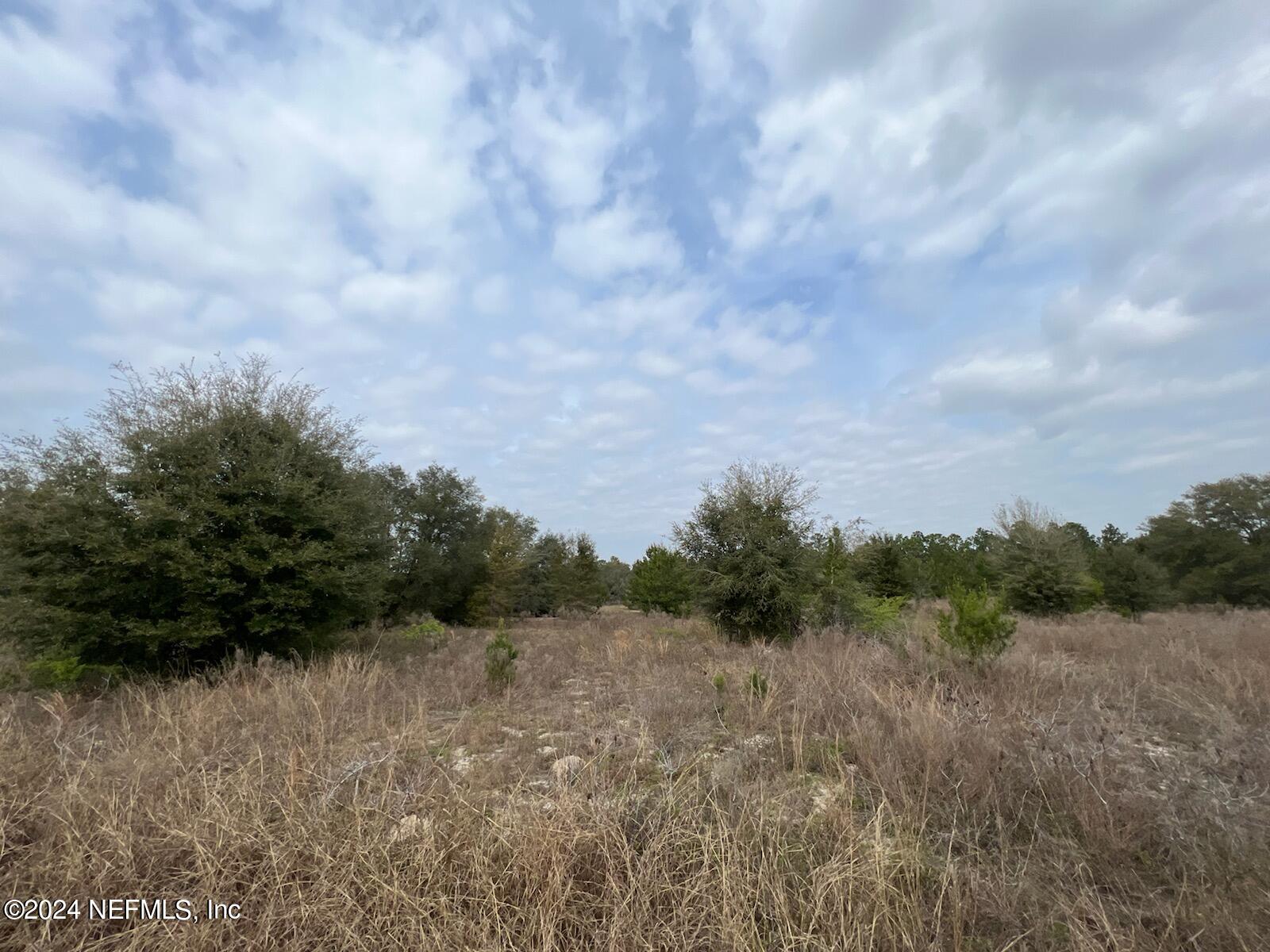 5888 Sequoia Road Keystone Heights, FL 32656 - Photo 8 of 10 attachment1709227411542