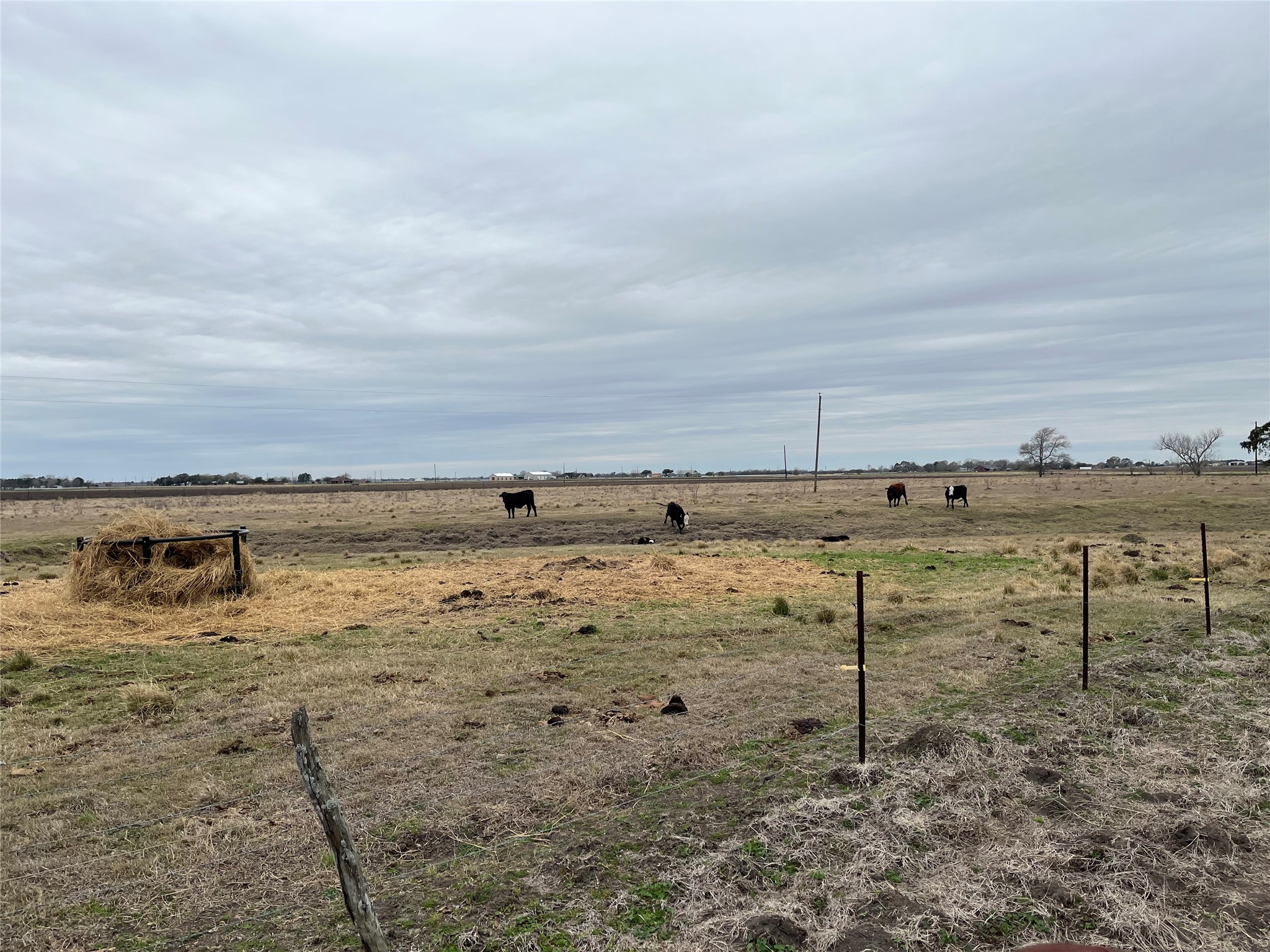 13315 Zamanek Road Needville, TX 77461 - Photo 16 of 28