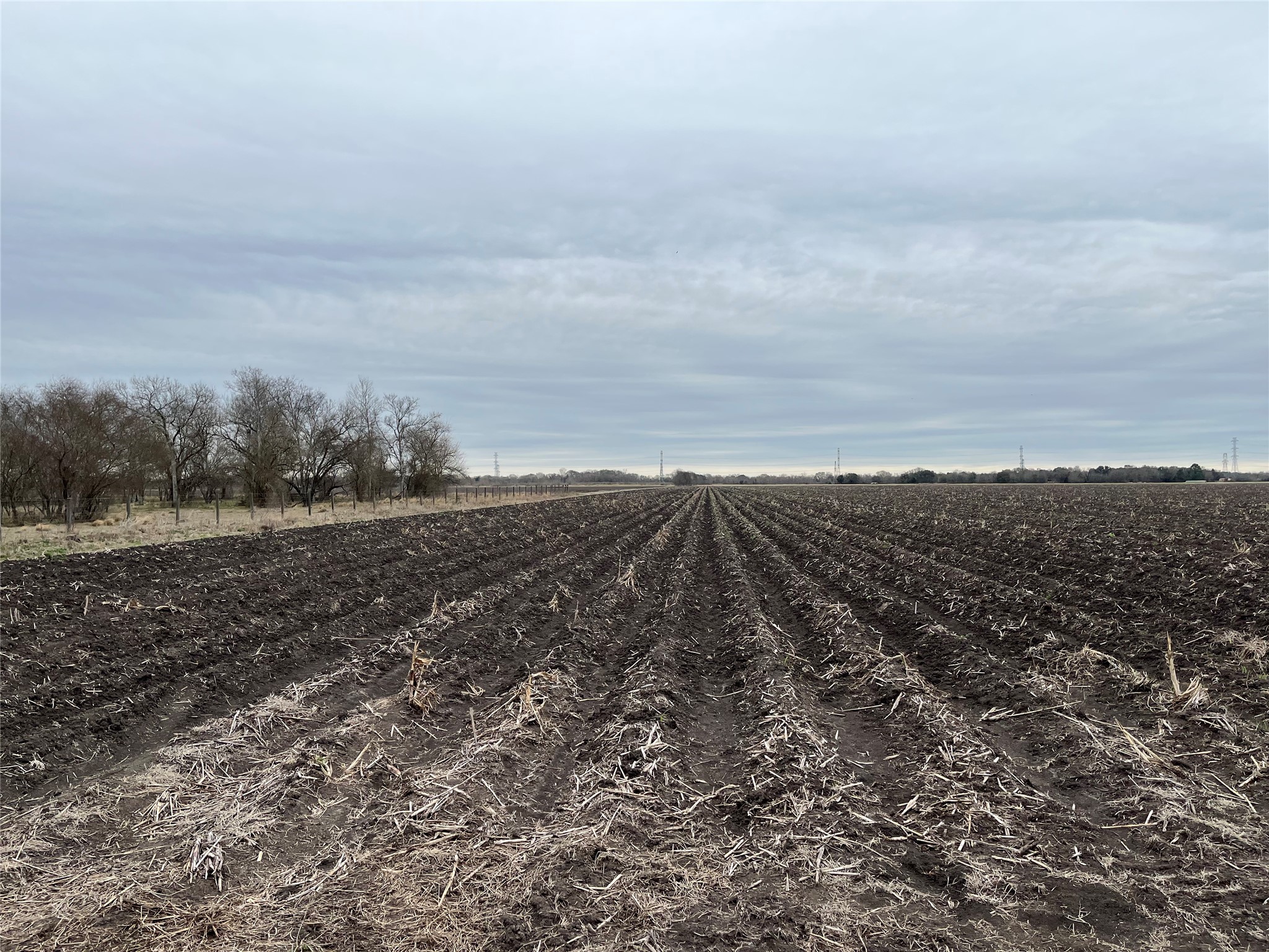 13315 Zamanek Road Needville, TX 77461 - Photo 22 of 28 a view of a dry yard