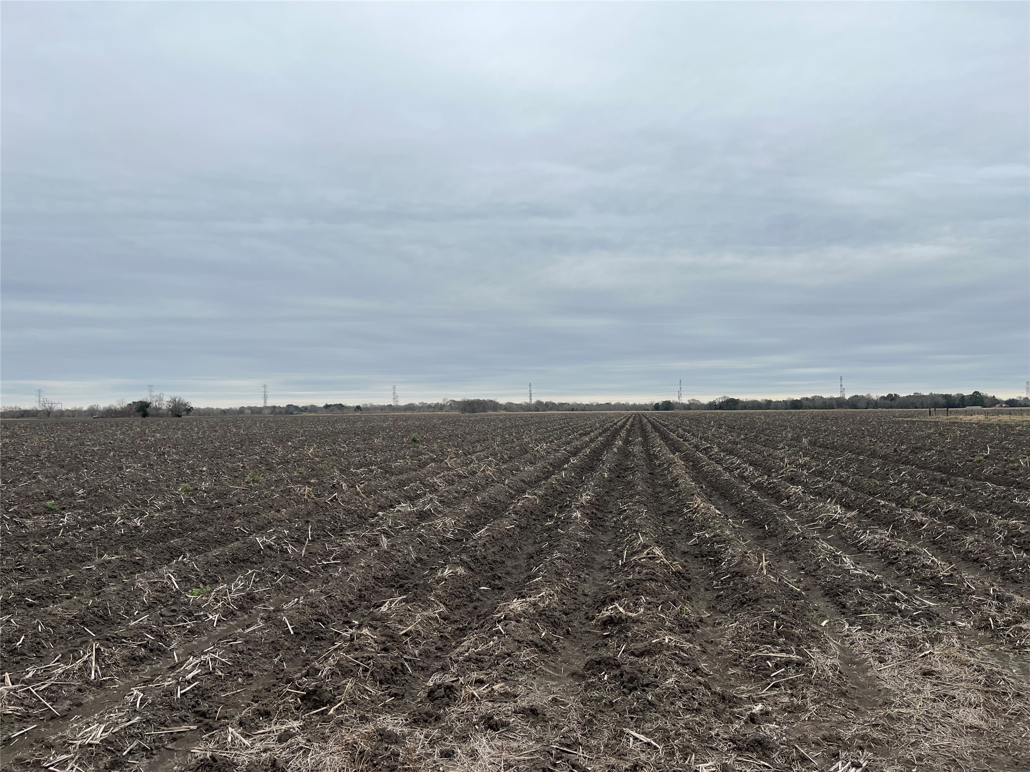 13315 Zamanek Road Needville, TX 77461 - Photo 23 of 28 a view of a large body of water with lots of trees