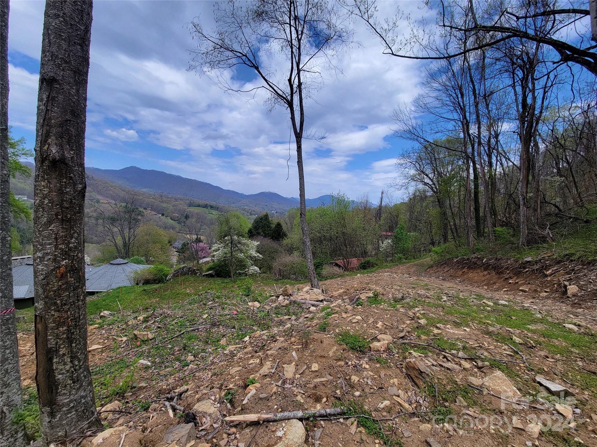 145 Patchen Estate Road, Unit B Waynesville, NC 28786 - Photo 1 of 16 a view of a yard with plants and a tree