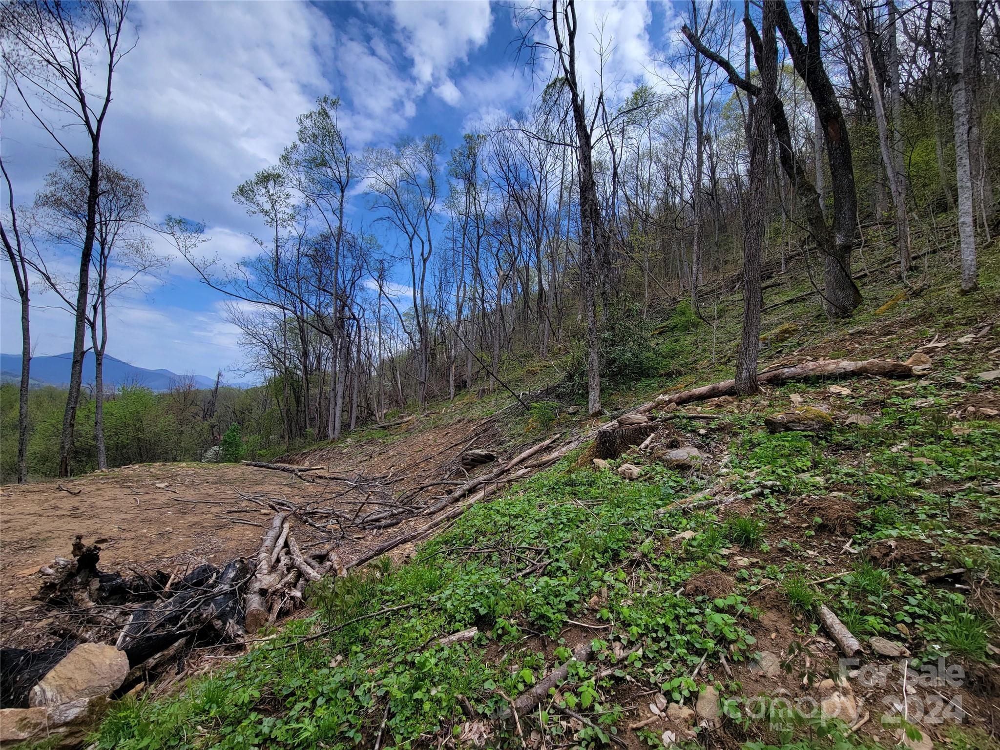 145 Patchen Estate Road, Unit B Waynesville, NC 28786 - Photo 11 of 16 a backyard of a house with lots of green space