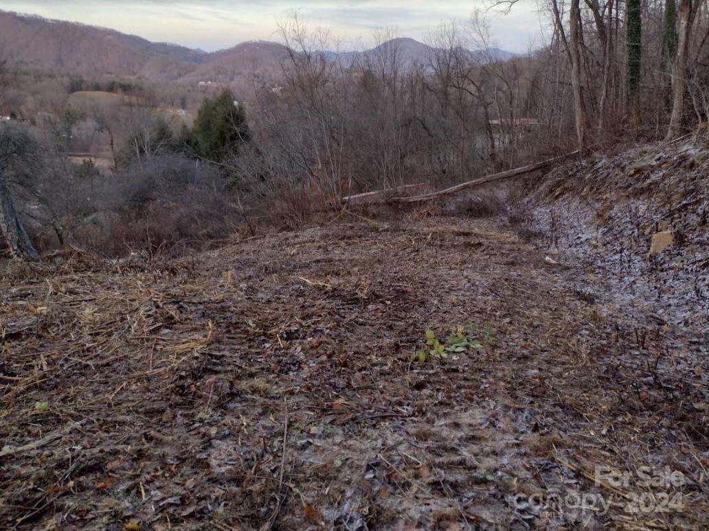145 Patchen Estate Road, Unit B Waynesville, NC 28786 - Photo 12 of 16 a view of a dry yard with green space