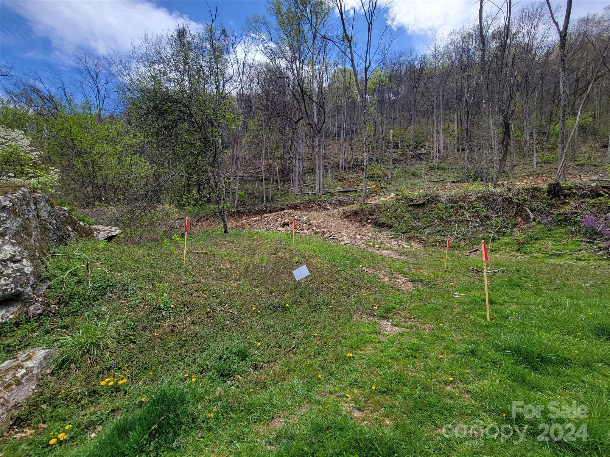 145 Patchen Estate Road, Unit B Waynesville, NC 28786 - Photo 13 of 16 a backyard of a house with lots of green space
