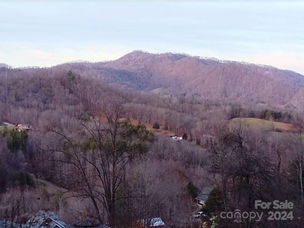 145 Patchen Estate Road, Unit B Waynesville, NC 28786 - Photo 3 of 16 a view of mountains in the distance