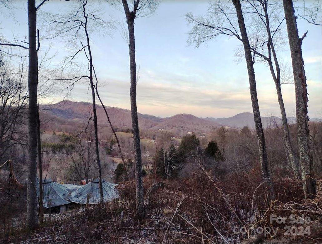 145 Patchen Estate Road, Unit B Waynesville, NC 28786 - Photo 6 of 16 a view of a forest with mountain view