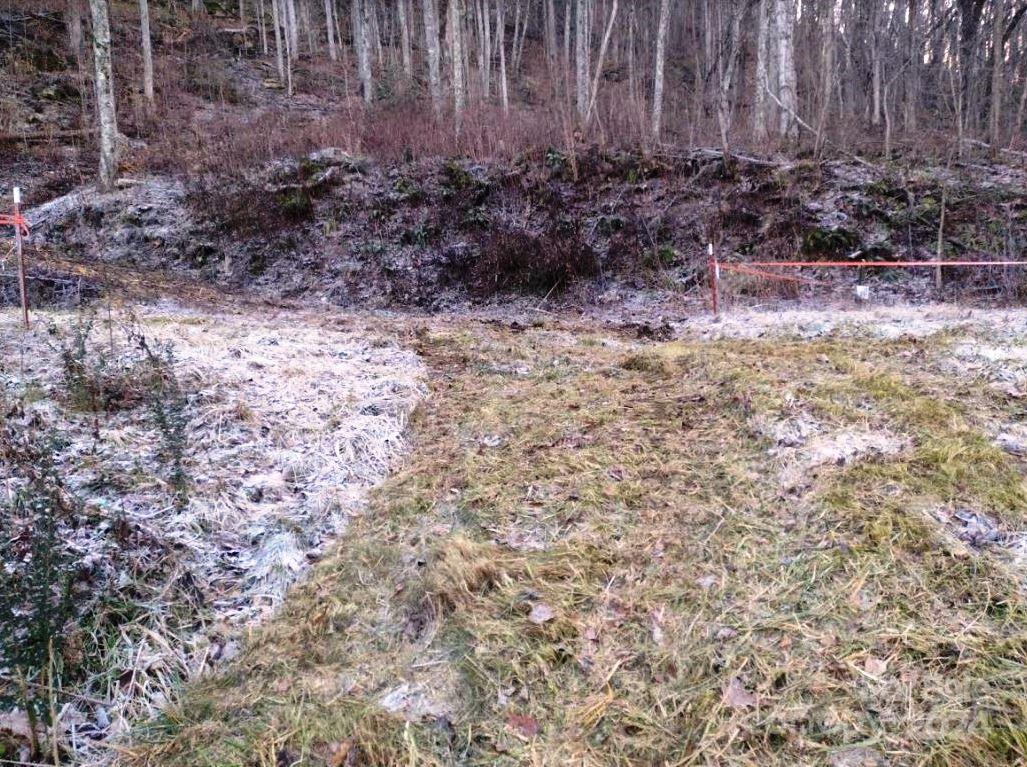 145 Patchen Estate Road, Unit B Waynesville, NC 28786 - Photo 7 of 16 a view of a dry yard with trees