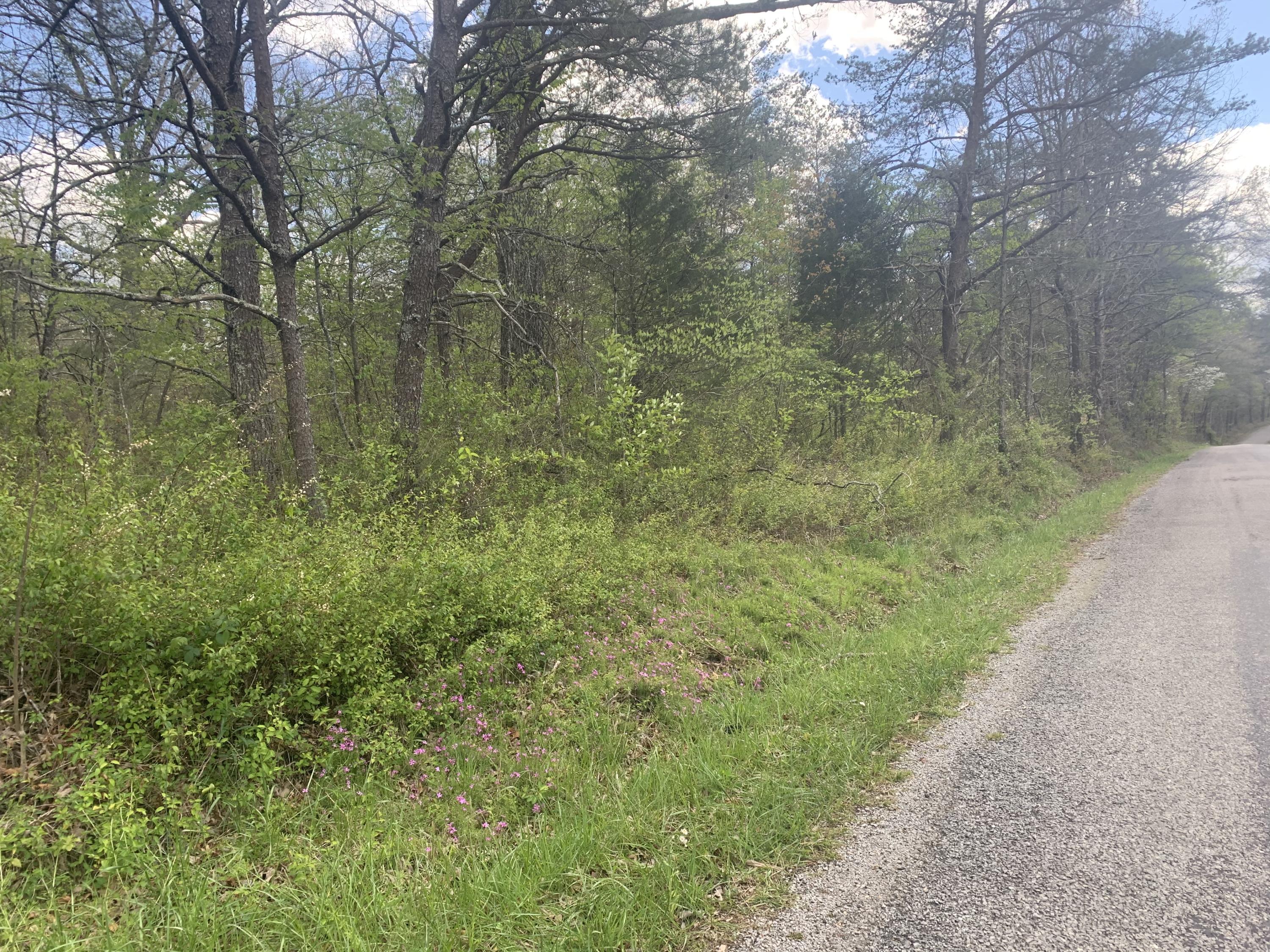 Scott Wyatt Road Deer Lodge, TN 37726 - Photo 1 of 4 Scott Wyatt