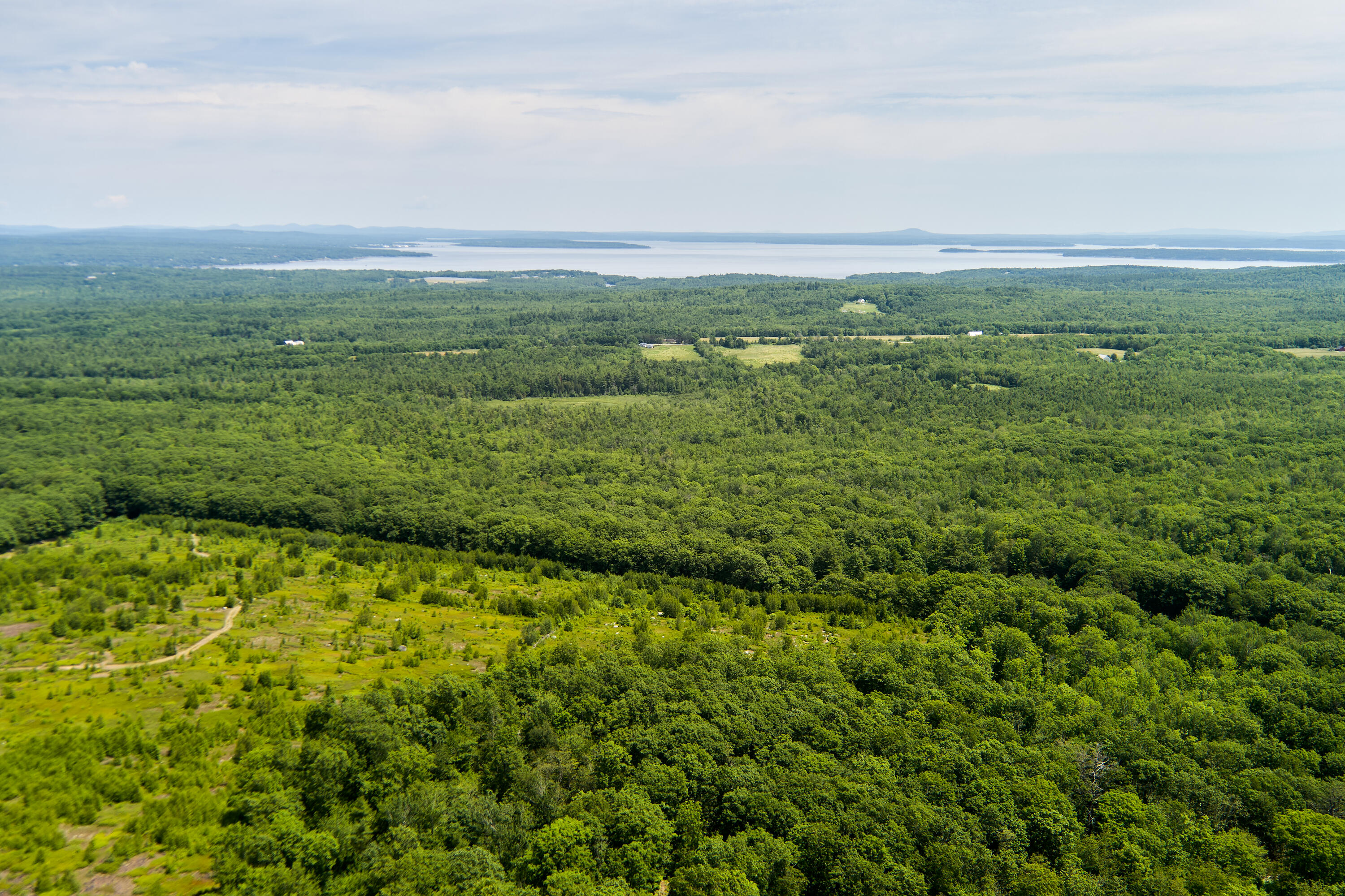 View looking easterly
