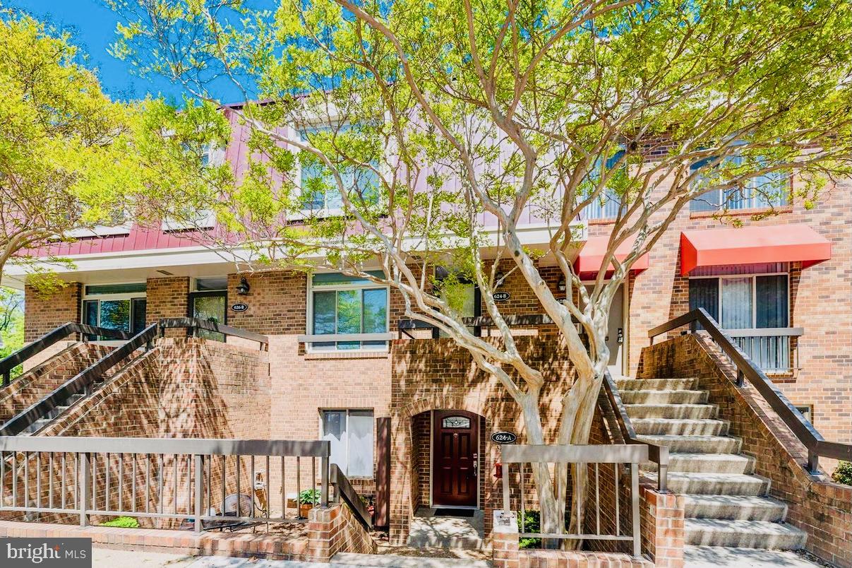 front view of a house with a trees