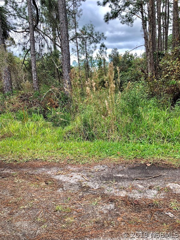 20 Plantation Road DeBary, FL 32713 - Photo 2 of 2 a view of yard with green space