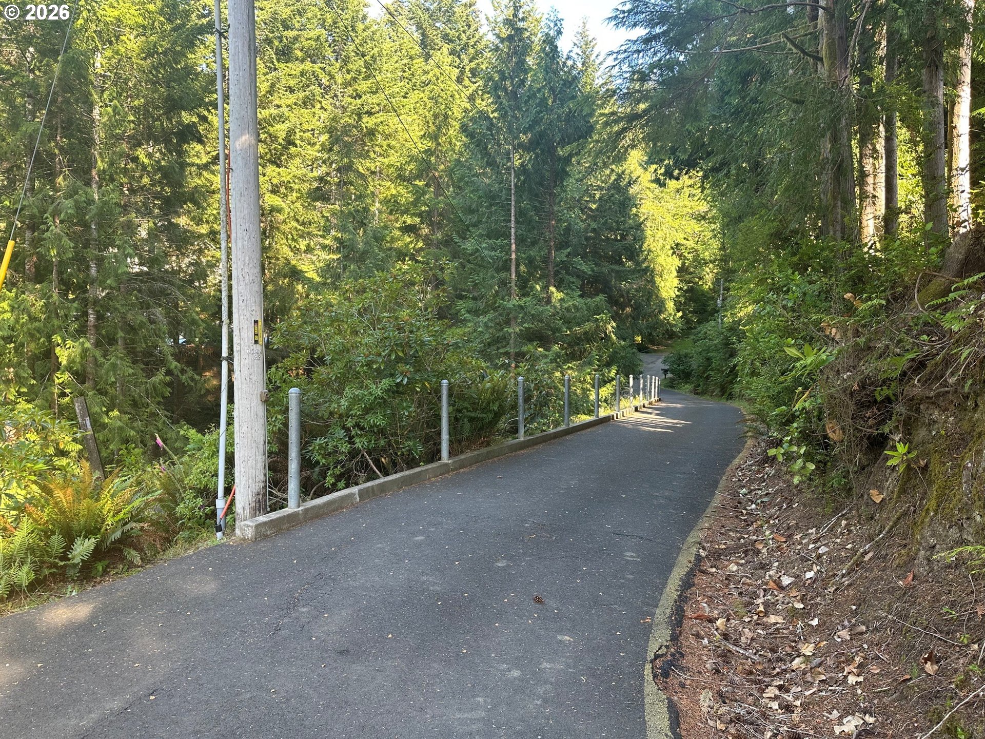 88686 Chapman Road Florence, OR 97439 - Photo 43 of 44 Driveway