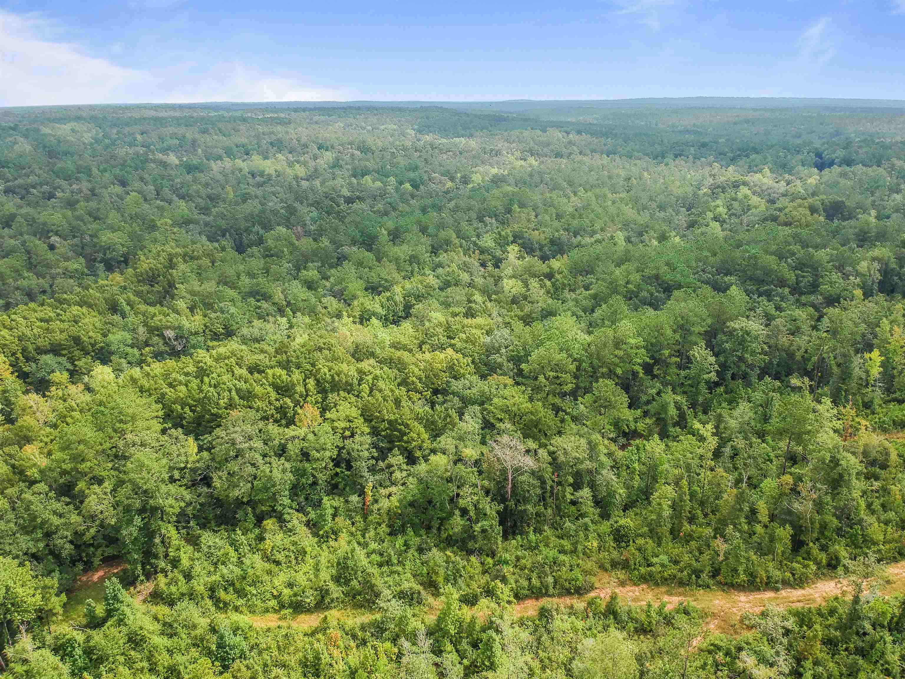0 Lakeview Road Bay Minette, AL 36507 - Photo 8 of 10
