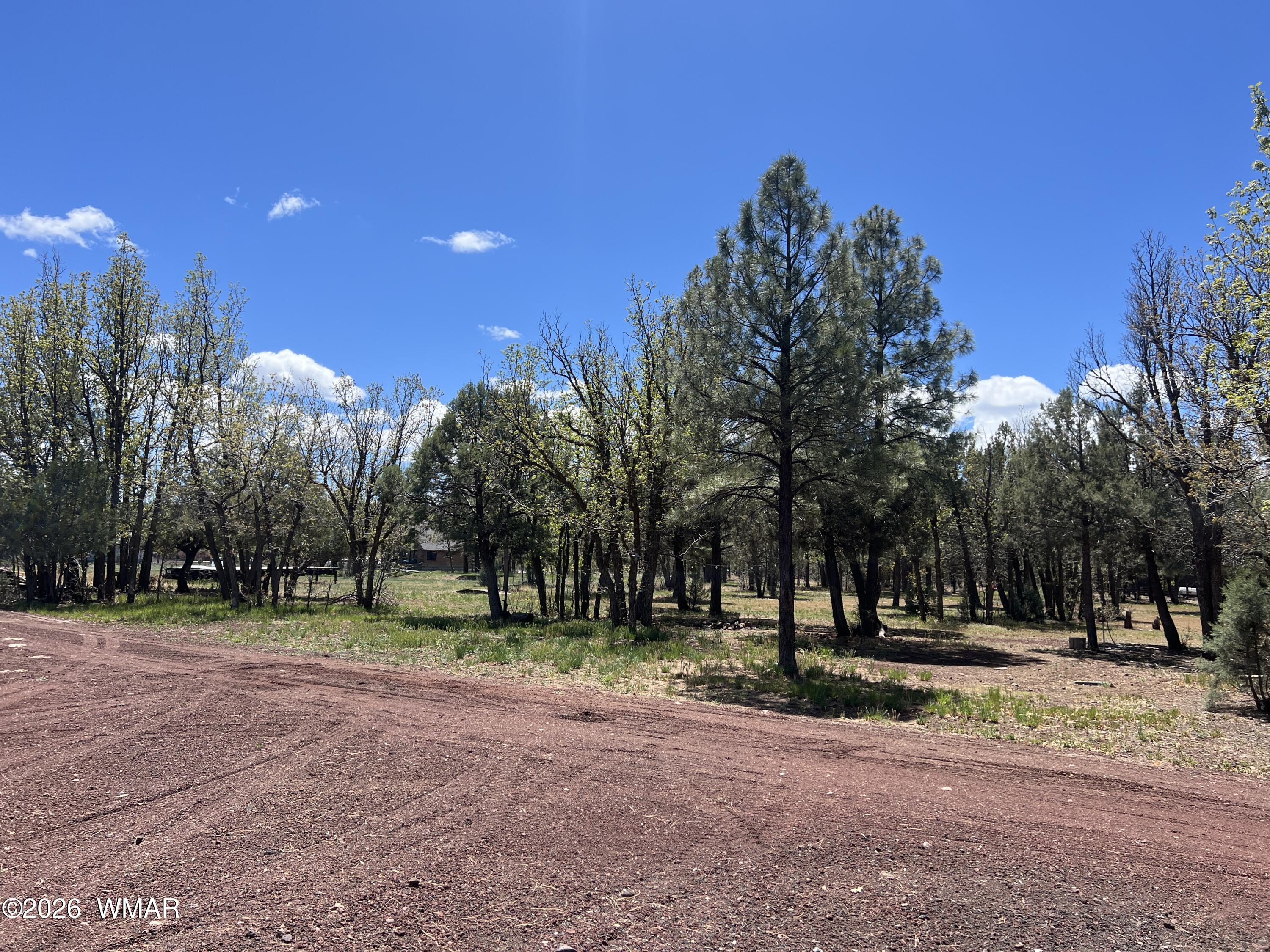 1321 South Woodland Road Lakeside, AZ 85929 - Photo 6 of 24 06