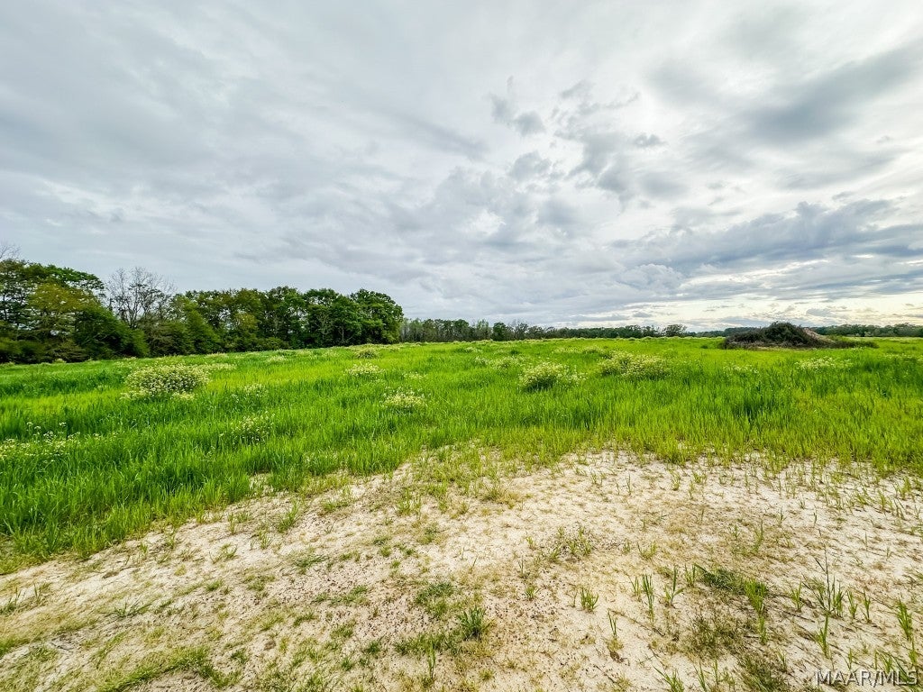 65 County Road 65 Road Coffee Springs, AL 36318 - Photo 9 of 9 Gallery Image 9