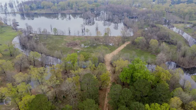 a view of a forest with a street