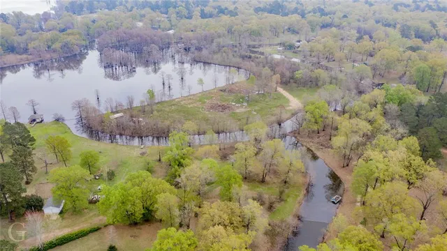 a view of a garden with a tree