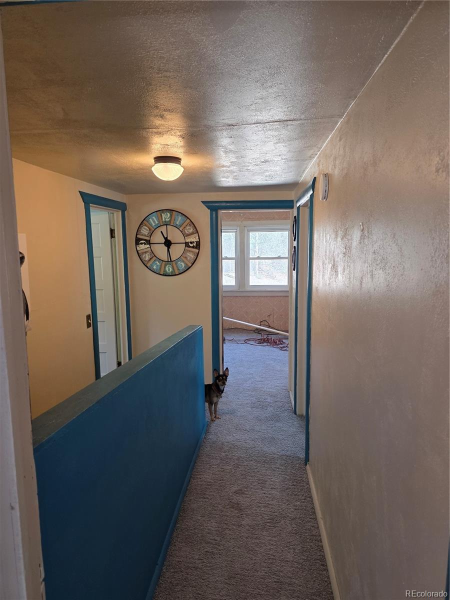 286 West Creek Road Howard, CO 81233 - Photo 14 of 24