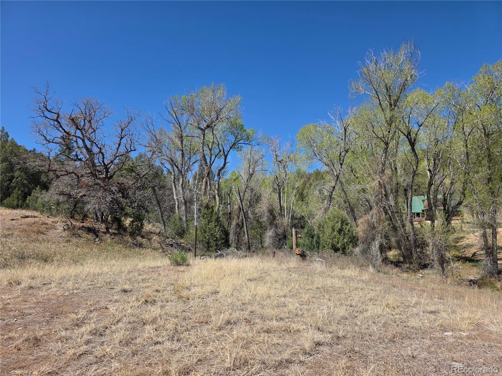 286 West Creek Road Howard, CO 81233 - Photo 23 of 24